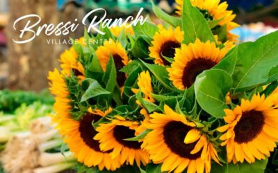 The Summer Market at Bressi Ranch Village Center