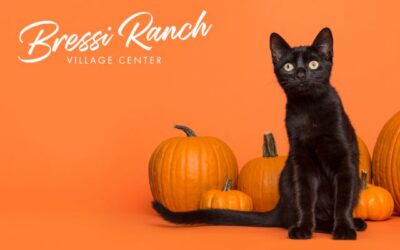 Halloween at Bressi Ranch Village Center